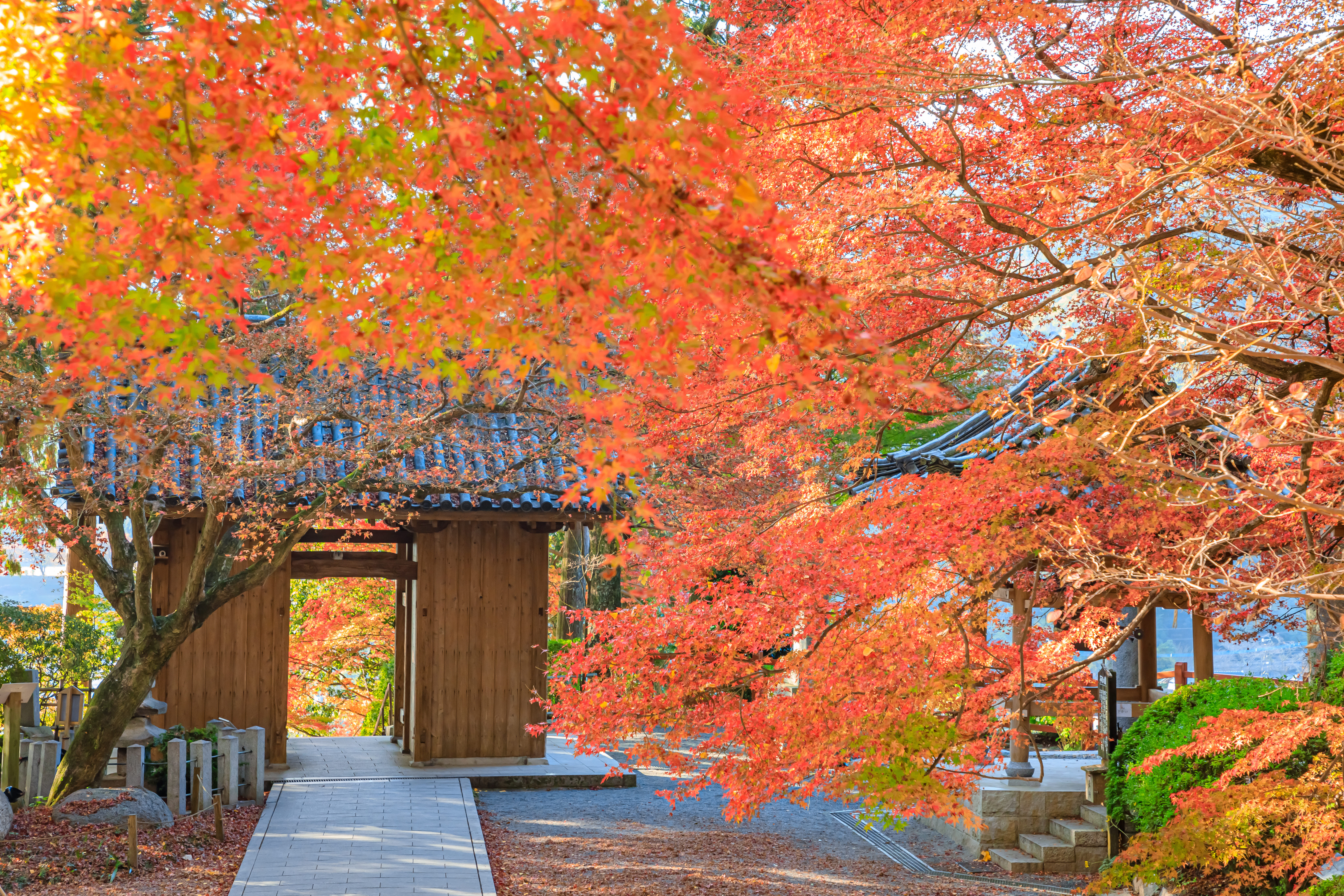 大興善寺