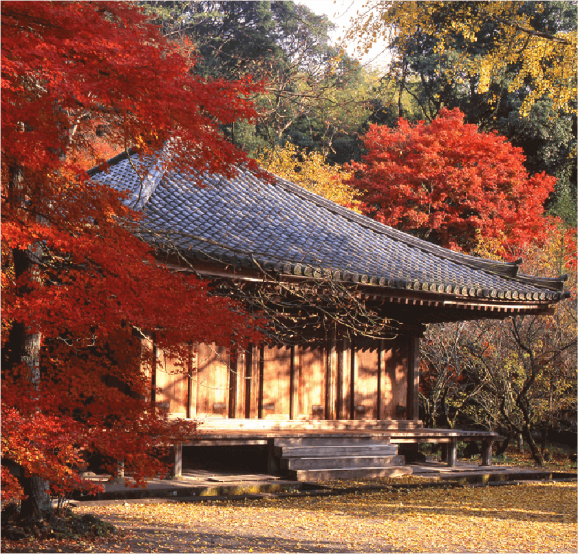 国宝　富貴寺大堂